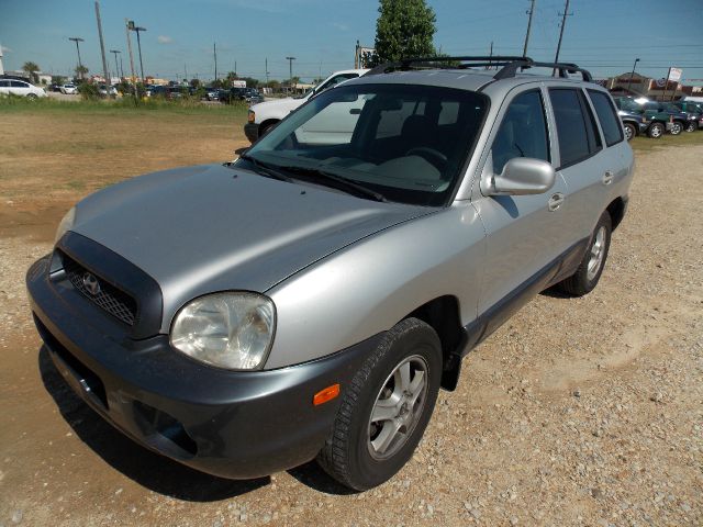 Hyundai Santa Fe 2002 photo 8