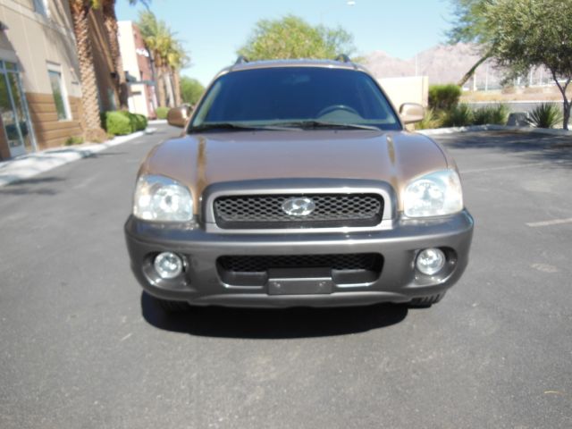 Hyundai Santa Fe 2002 photo 1