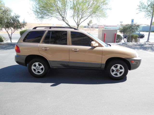 Hyundai Santa Fe 2002 photo 3