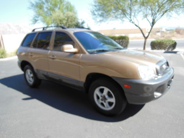 Hyundai Santa Fe 2002 photo 4