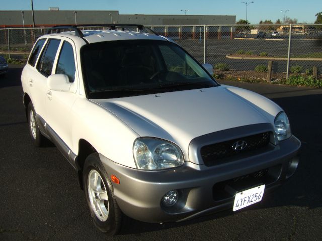 Hyundai Santa Fe 2002 photo 2