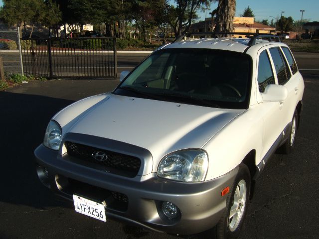 Hyundai Santa Fe 2002 photo 4