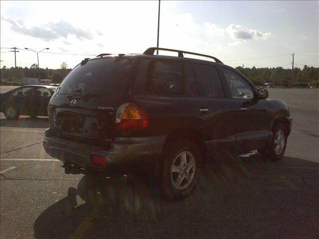 Hyundai Santa Fe 2002 photo 3