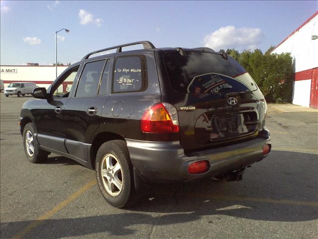 Hyundai Santa Fe 2002 photo 4