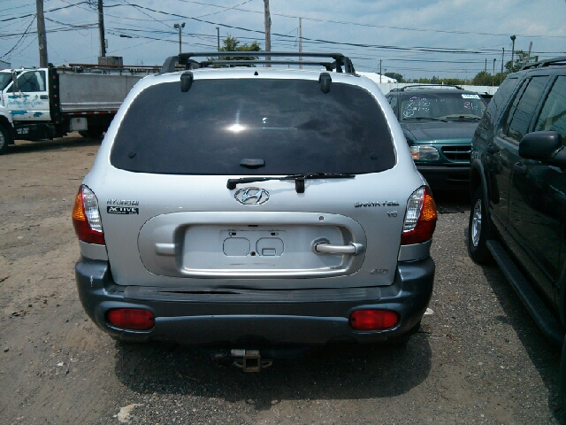 Hyundai Santa Fe 2002 photo 2