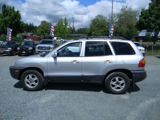 Hyundai Santa Fe 2002 photo 1