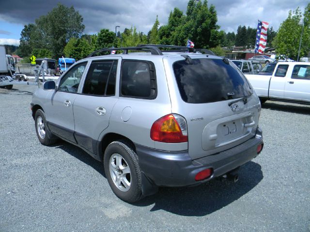 Hyundai Santa Fe 2002 photo 11