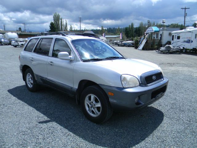 Hyundai Santa Fe 2002 photo 2