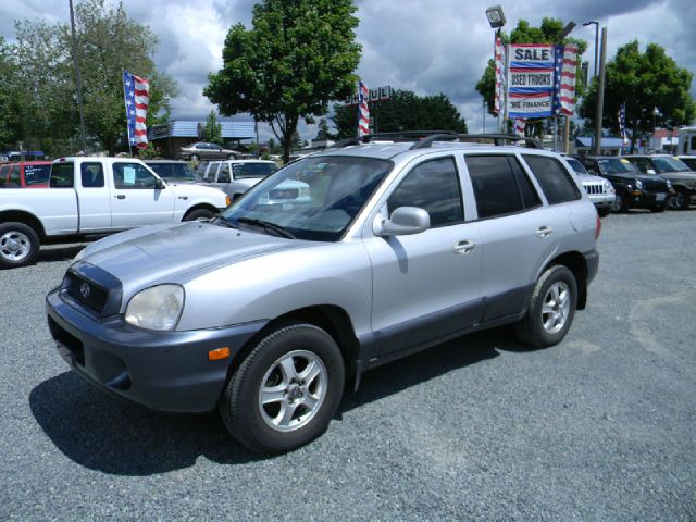 Hyundai Santa Fe 2002 photo 8