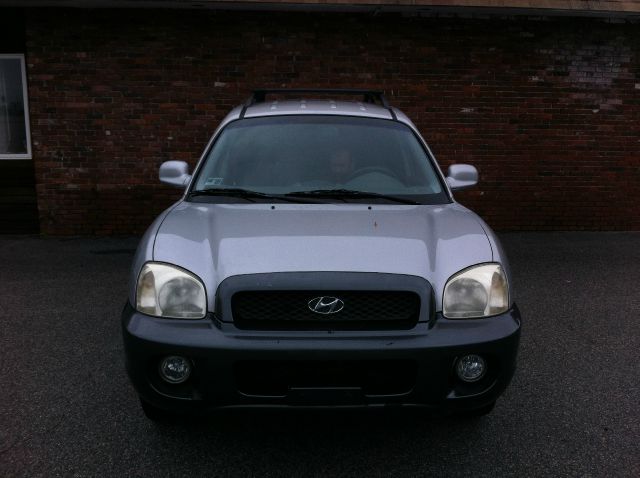 Hyundai Santa Fe 2002 photo 3