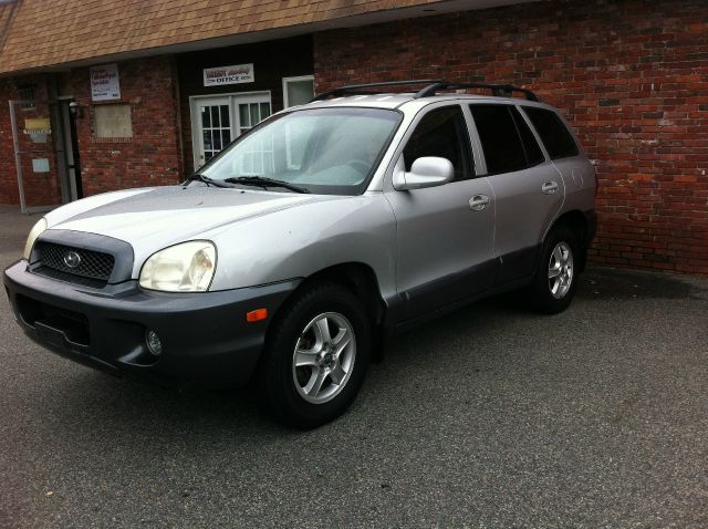 Hyundai Santa Fe 2002 photo 4