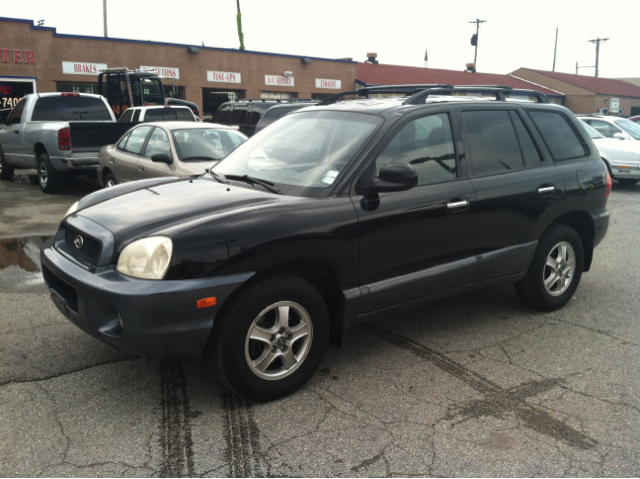 Hyundai Santa Fe 2002 photo 5