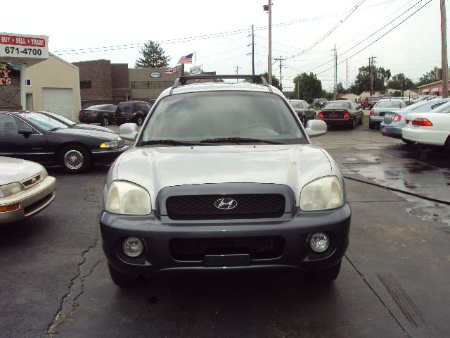 Hyundai Santa Fe 2002 photo 2