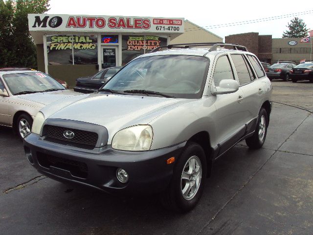 Hyundai Santa Fe 2002 photo 4