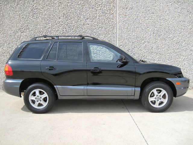 Hyundai Santa Fe 2002 photo 4