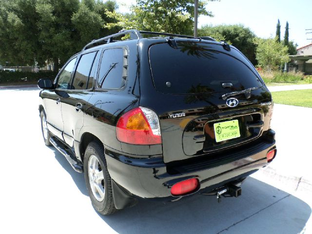 Hyundai Santa Fe 2002 photo 6