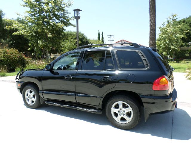 Hyundai Santa Fe 2002 photo 8