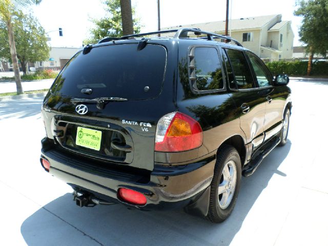 Hyundai Santa Fe 2002 photo 9