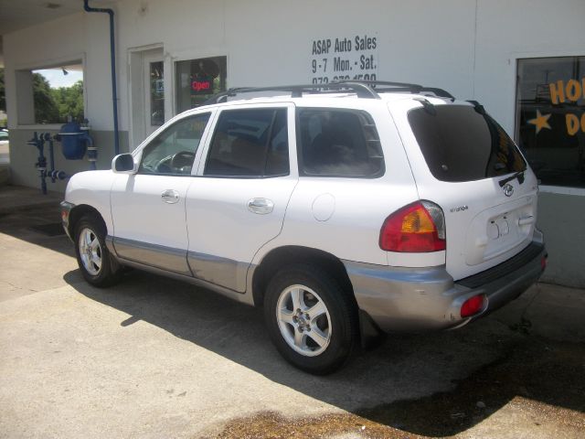 Hyundai Santa Fe Elk Conversion Van SUV