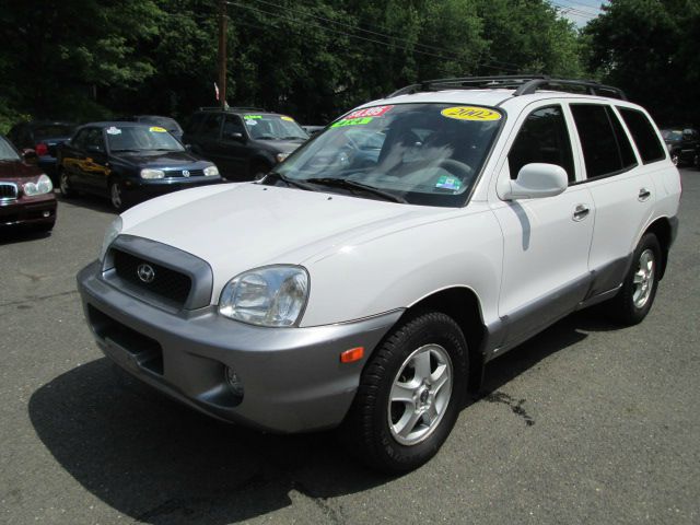 Hyundai Santa Fe 2002 photo 3