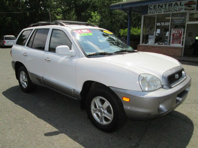 Hyundai Santa Fe 2002 photo 4