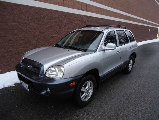 Hyundai Santa Fe 2002 photo 3