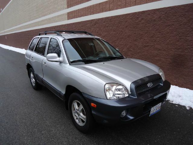 Hyundai Santa Fe 2002 photo 4