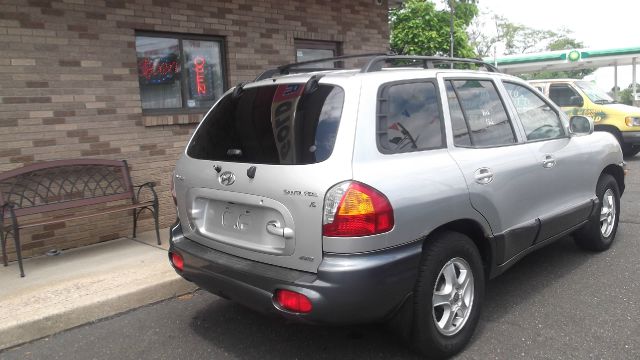 Hyundai Santa Fe 2002 photo 4