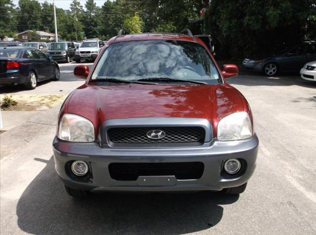 Hyundai Santa Fe 2002 photo 2