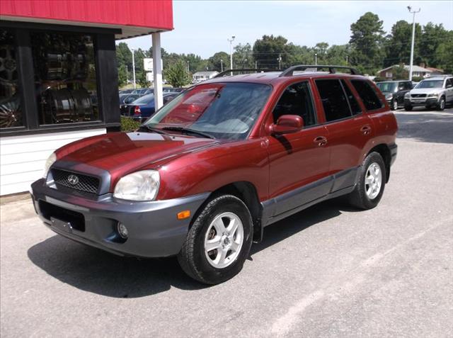 Hyundai Santa Fe 2002 photo 4