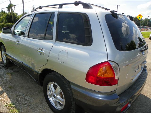 Hyundai Santa Fe 2002 photo 1