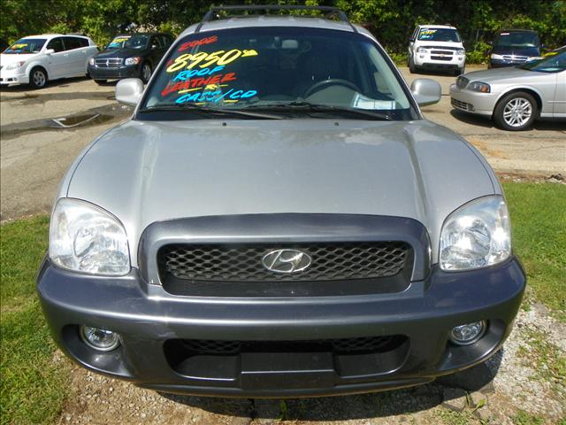 Hyundai Santa Fe 2002 photo 3