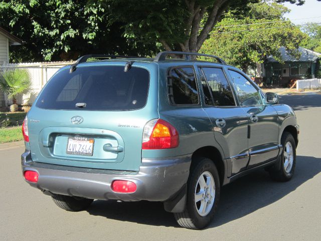 Hyundai Santa Fe 2002 photo 1