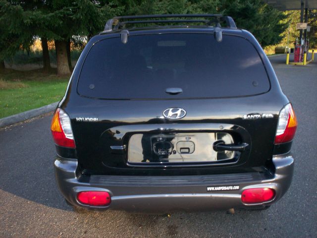 Hyundai Santa Fe 2003 photo 1