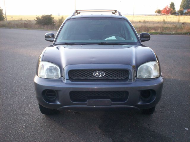 Hyundai Santa Fe 2003 photo 2