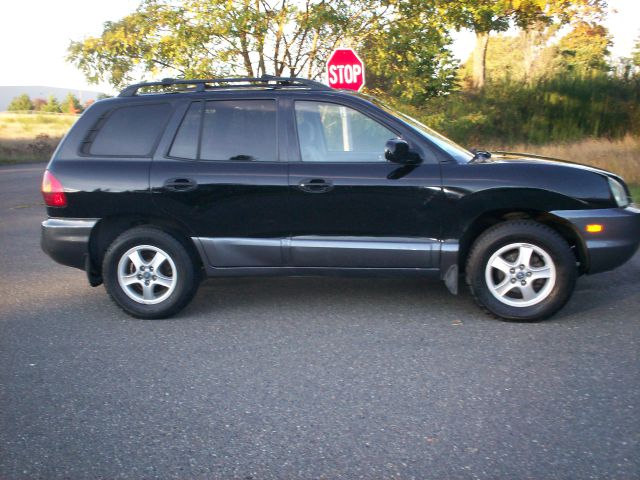 Hyundai Santa Fe 2003 photo 3