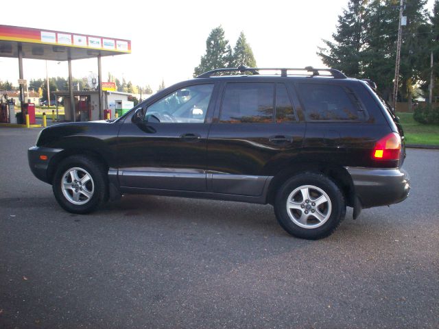 Hyundai Santa Fe 2003 photo 4