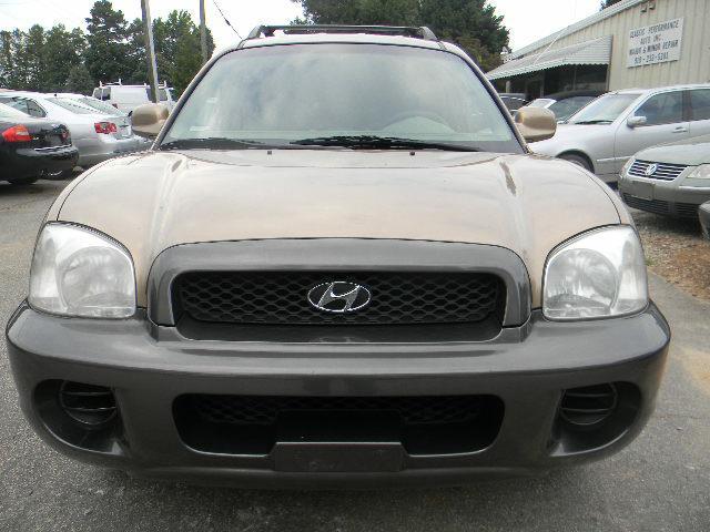 Hyundai Santa Fe 2003 photo 1