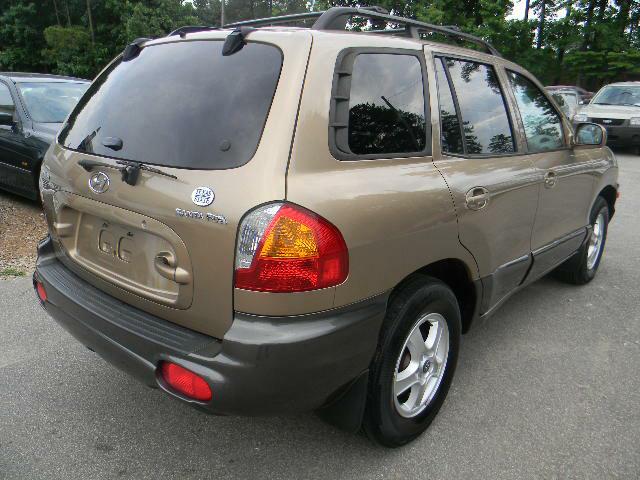 Hyundai Santa Fe 2003 photo 3