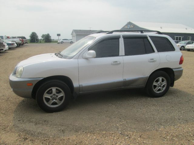 Hyundai Santa Fe 2003 photo 3