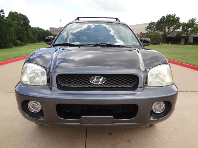 Hyundai Santa Fe 2003 photo 8