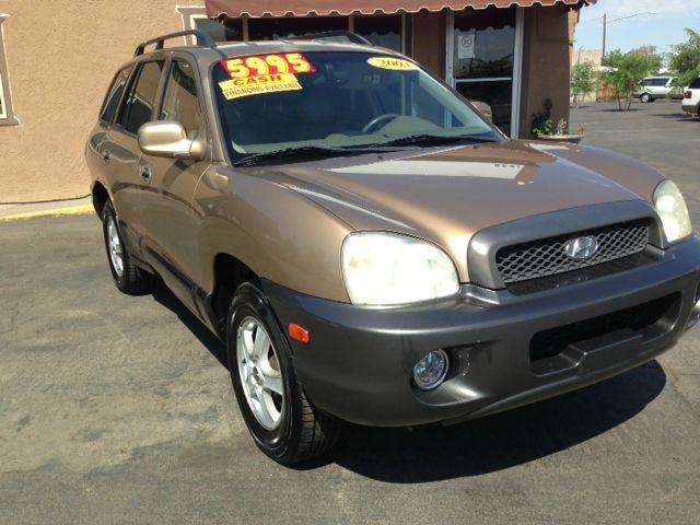 Hyundai Santa Fe 2003 photo 5