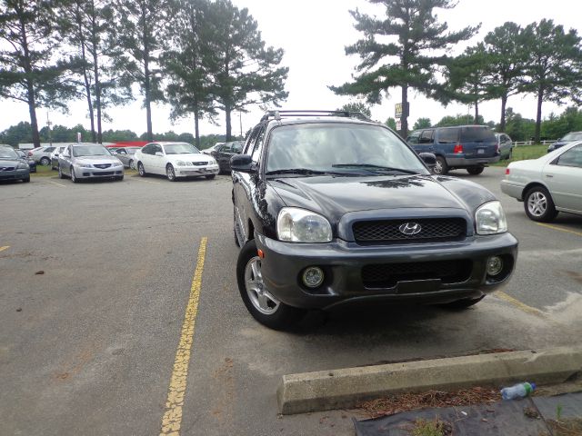 Hyundai Santa Fe 2003 photo 1