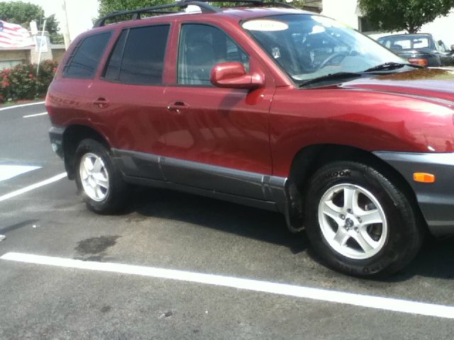 Hyundai Santa Fe 2003 photo 2