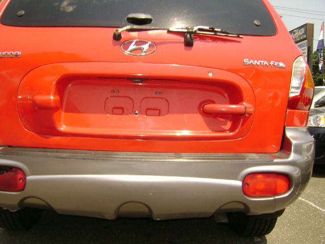 Hyundai Santa Fe 2003 photo 24