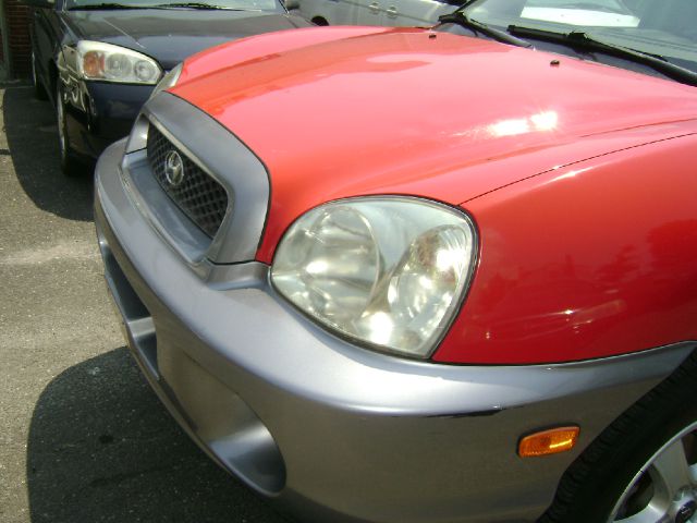 Hyundai Santa Fe 2003 photo 3