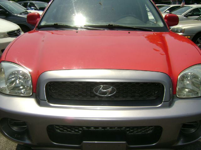 Hyundai Santa Fe 2003 photo 8