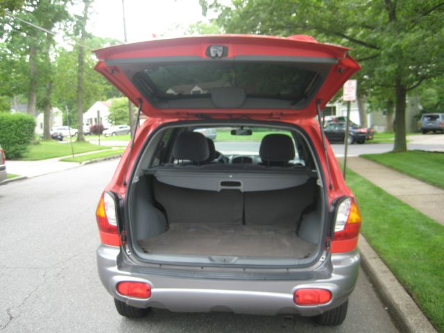 Hyundai Santa Fe 2003 photo 7