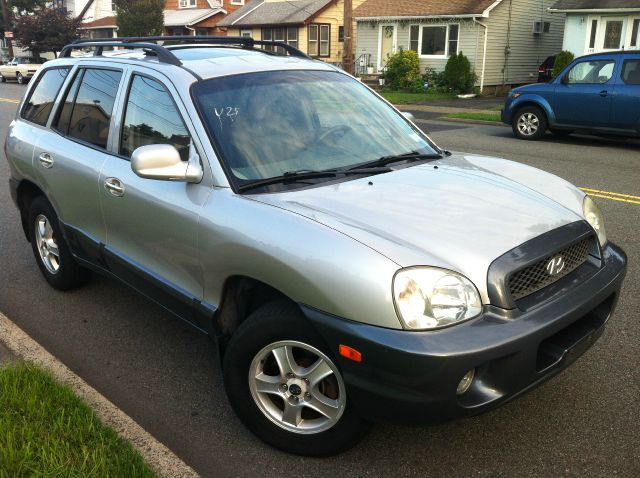 Hyundai Santa Fe 2003 photo 1