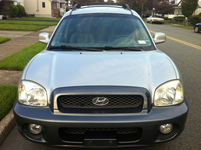 Hyundai Santa Fe 2003 photo 2